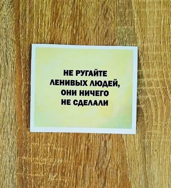 Постер МЕМ на стену 10х 8 см "Не ругайте ленивых людей, они ничего не сделали" клеющейся на стену, дверь ( на самоклеющейся основе)