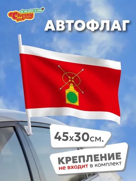 Флаг 45x30 Рузаевка (Мордовия), проект флага (2017 г.)