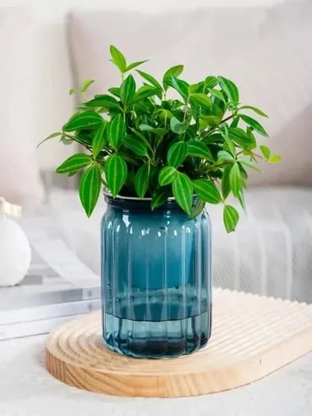 Цветочный горшок 11,5 см 1 л 1 шт