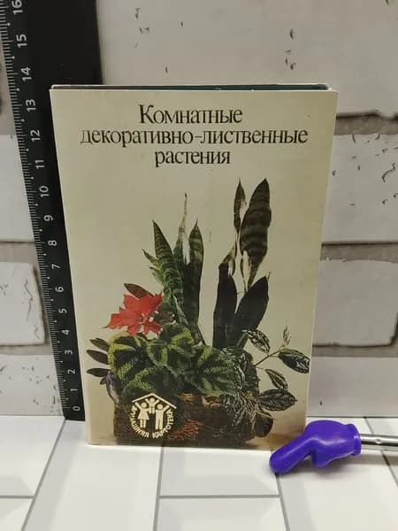 Канцелярия антикварная винтажная Набор из 12 открыток Комнатные декоративно лиственные растения 1986 год