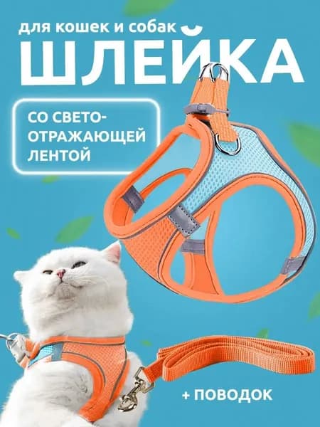 Шлейка для собак мелких и средних пород, для кота