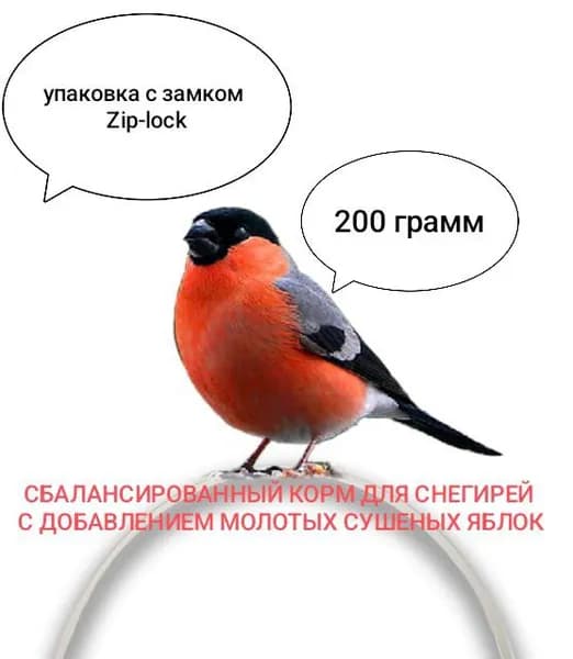 Сбалансированный корм для снегирей с добавлением сушенных яблок