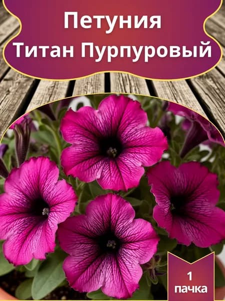Петуния Титан Пурпуровый (семена)