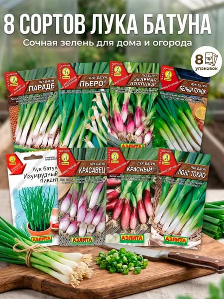 Лук семена для посадки