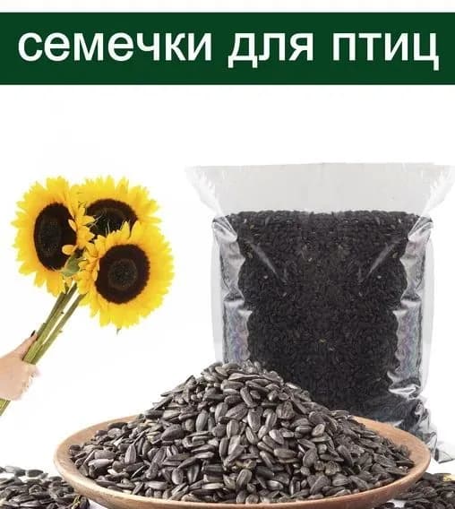 Семечки 10000г. 1шт