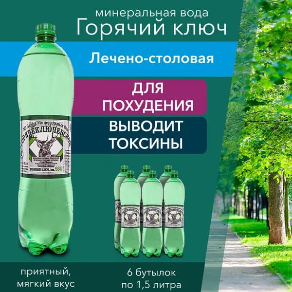 Вода питьевая газированная Горячий Ключ Лечебно-столовая, минеральная вода с газом 1,5 л., 6 шт.