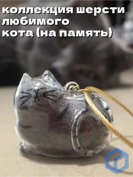 Мини-капсула для хранения кошачьей шерсти,ручная работа,Образцы шерсти домашних животных,DIY