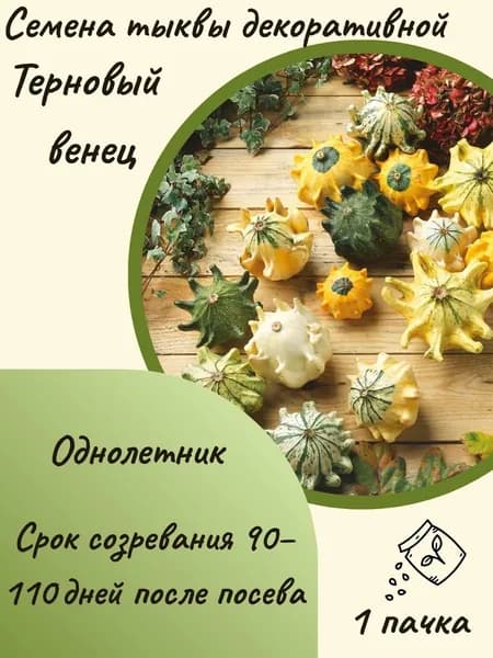 Тыква декоративная Терновый венец, 10 шт. семян