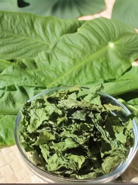 Запарка для бани/чана Листья хрена