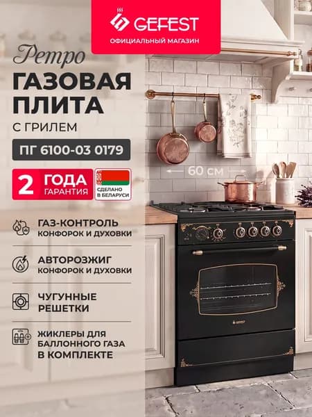 GEFEST Газовая плита 4 конфорки с газовой духовкой, черная, ПГ 6100-03 0179
