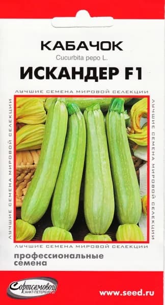 Кабачок Искандер F1, 5 семян