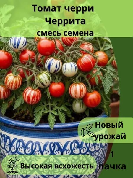 Томат черри Черрита, семена 10шт