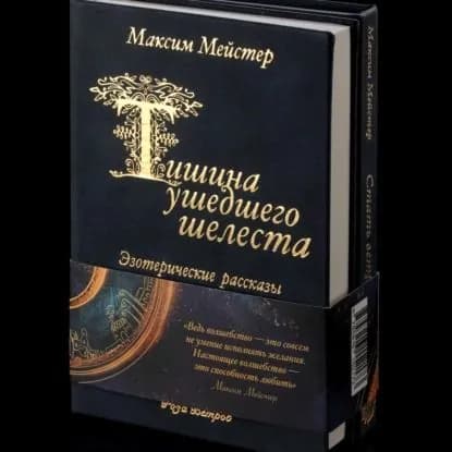 Тишина ушедшего шелеста | Максим Мейстер | Электронная аудиокнига
