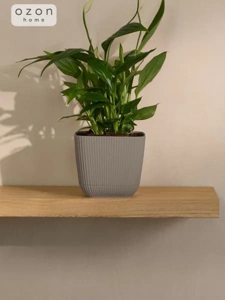 Кашпо Ozon home Французcкий серый, 110х110 мм, Объем 0,65 л