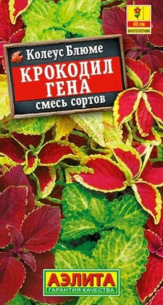 Семена Колеус Блюме Крокодил Гена, смесь (0,05г) Аэлита. Декоративный колеус с бархатистыми листьями для сада и дома