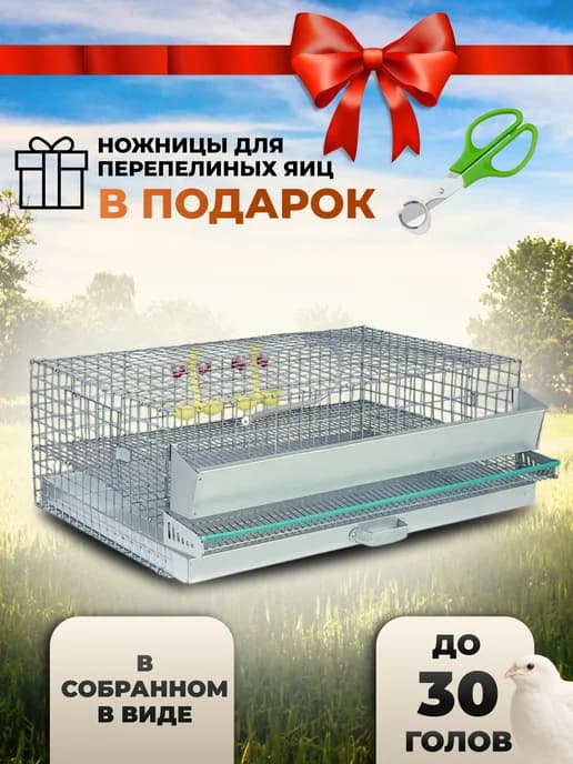 Клетка для перепелок на 30 голов с кормушкой и поилкой