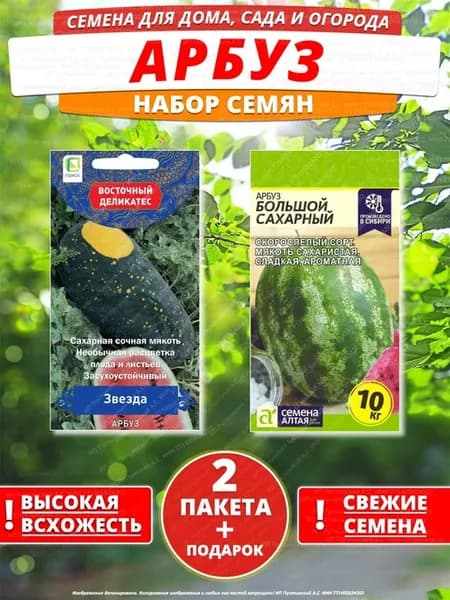 Семена арбуз для дома сада посадки