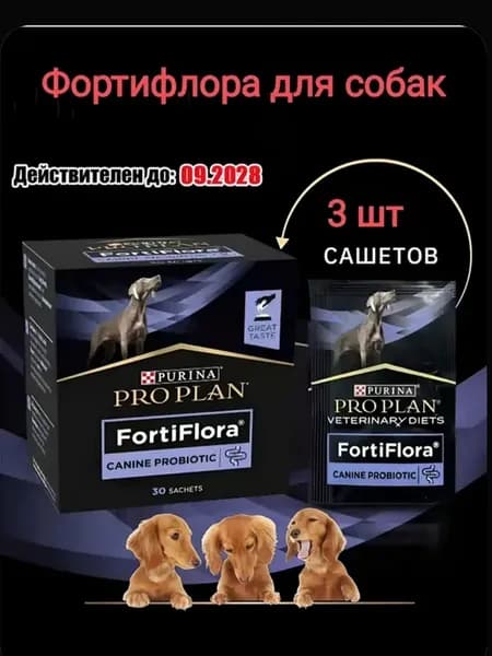 Фортифлора пробиотик для собак. 1 пакет - 1 гр. 3 шт
