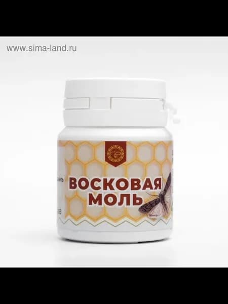 Восковая моль для укрепления организма