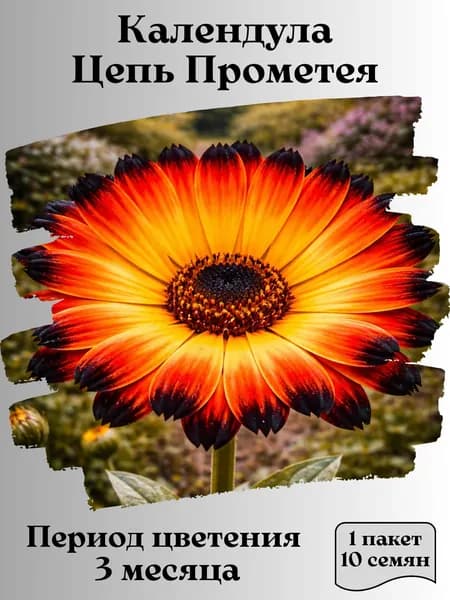 Календула Цепь Прометея, семена, 10 шт.