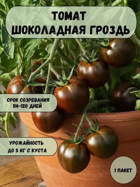 Томат Шоколадная гроздь, семена 10 шт