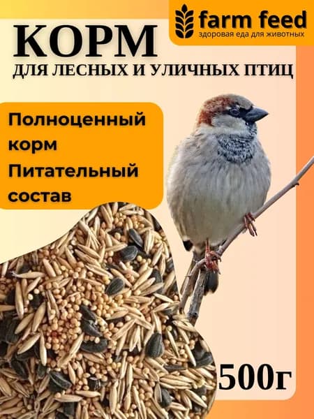 Корм для лесных, уличных и домашних птиц, 500 гр