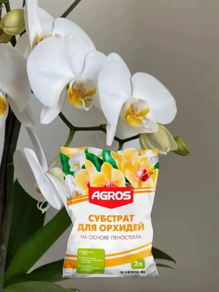 Грунт