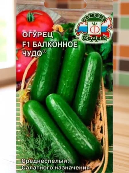 Семена огурца "Балконное чудо f1" от бренда СеДеК