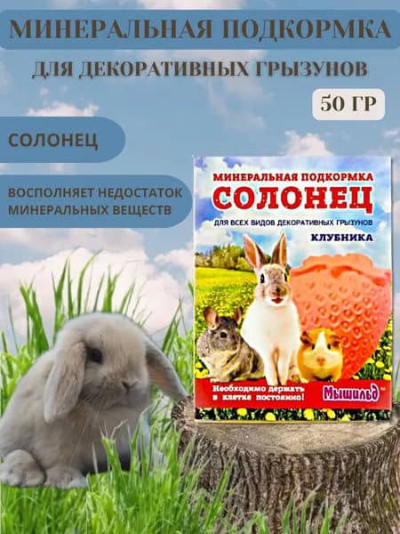 Минеральный камень для грызунов Солонец "Клубника" 50г