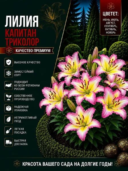 Луковицы,0.05кг