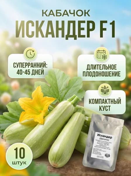 Семена кабачка Искандер F1 (Seminis), 10 шт., ручная фасовка