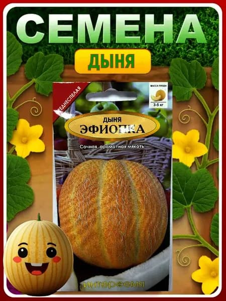 Семена дыня Эфиопка