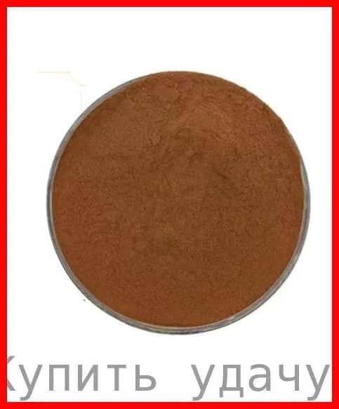 200 г Экстракт линчжи 10: 1 Ganoderma lucidum extract 10:1 Ganoderma lucidum mycelium powder