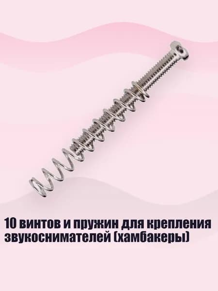 10 винтов и пружин для крепления звукоснимателей (хамбакеры), Серебро с серебряными буквами
