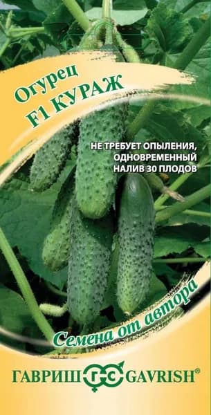 Семена Огурец Кураж F1, 10шт, Гавриш, Скороспелый, самоопыляемый