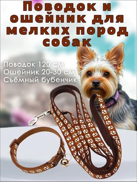 Поводок и ошейник для собак мелких пород щенков и кошек коричневого цвета