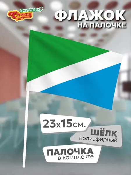 Флаг 23x15 на палочке Усолье-Сибирское (Иркутская область) (2000-е гг.)