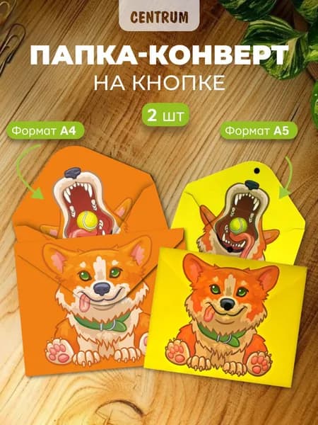 Набор папок с двусторонней печатью А4 и А5