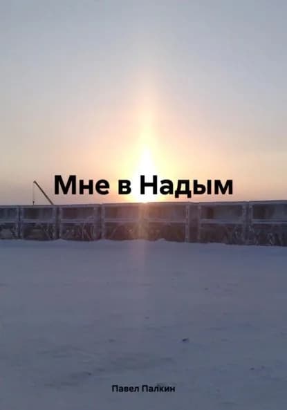 Мне в Надым | Павел Палкин | Электронная книга