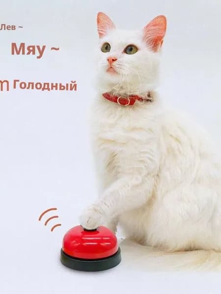 Домашнее животное звонит в руку, звонит в колокольчик, вызывает колокольчик, отвечает на звонок, подает еду, игрушка для настольной игры