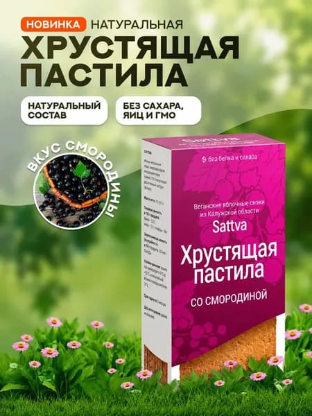 Хрустящая пастила без сахара с смородиной, Sattva