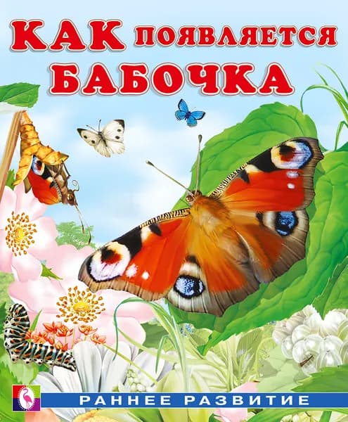 Как появляется бабочка | Гурина Ирина Валерьевна