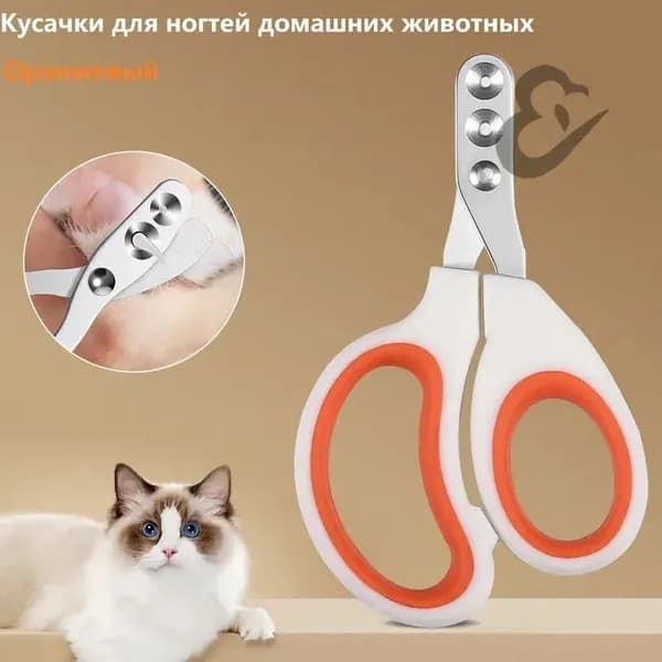 Когтерез