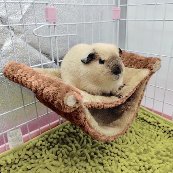 Наполнитель для домашних животных
