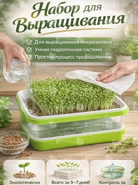 Гидропонный набор для выращивания микрозелени