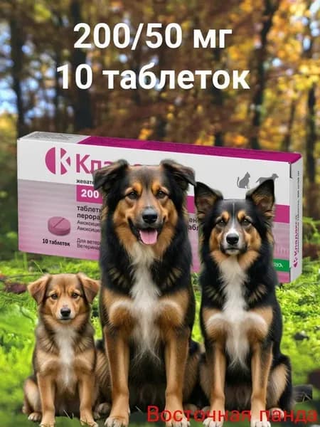 Ветеринарная аптечка противовоспалительная для кошек и собак