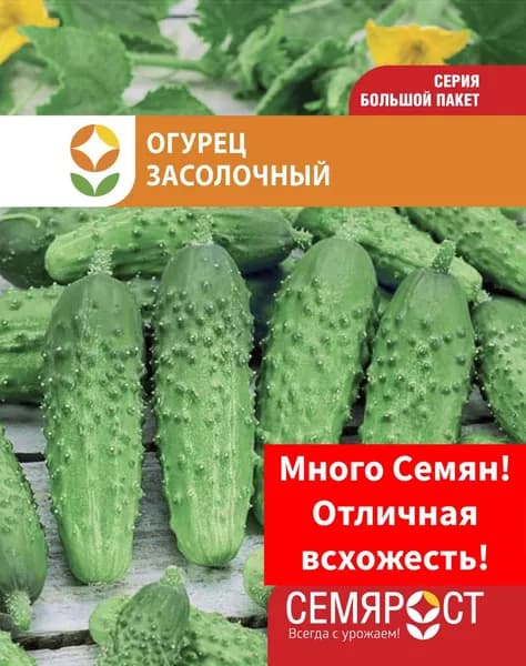 Семена Огурец Засолочный 65 3г Семярост