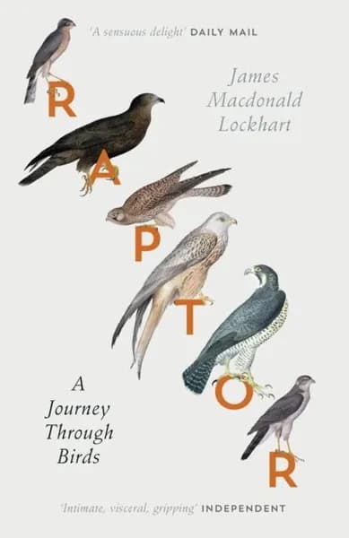 Raptor: A Journey Through Birds | Lockhart James Macdonald | Электронная книга