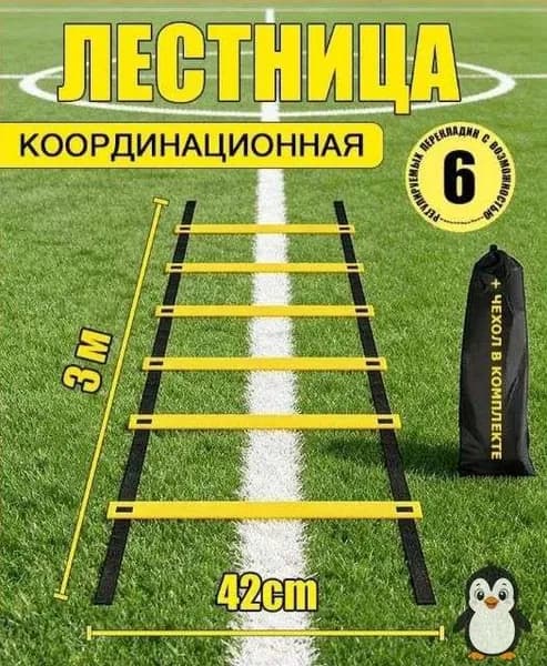 Лестница координационная + чехол, 3 метров, 6 перекладин