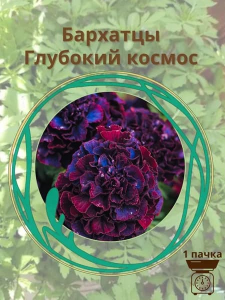 Бархатцы Глубокий космос 10 шт. семян